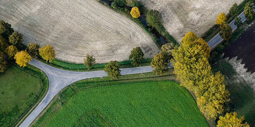 Eine Straßengabelung zwischen Feldern und Bäumen